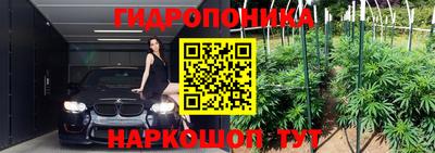 индика Ачхой-Мартан
