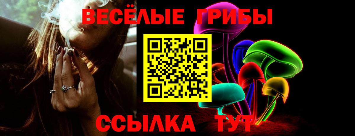 Тулун  Псилоцибиновые грибы MAGIC MUSHROOMS  Вход с VPN  Псилоцибиновые грибы Cubensis 